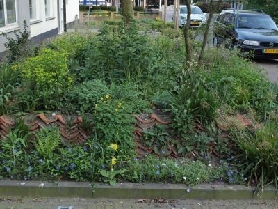 de Vlinderstichting - Gevarierde beplanting